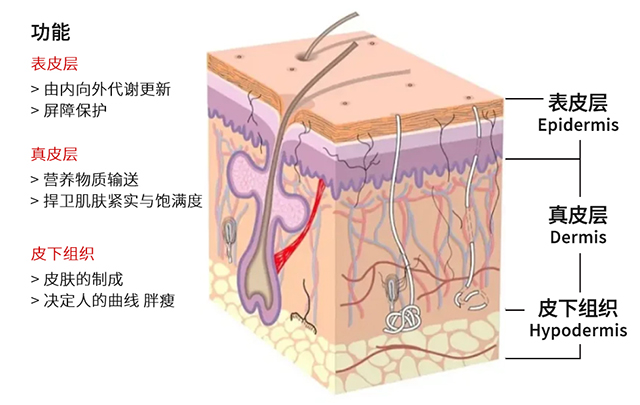 赢彩吧859cc(中国)官方网站