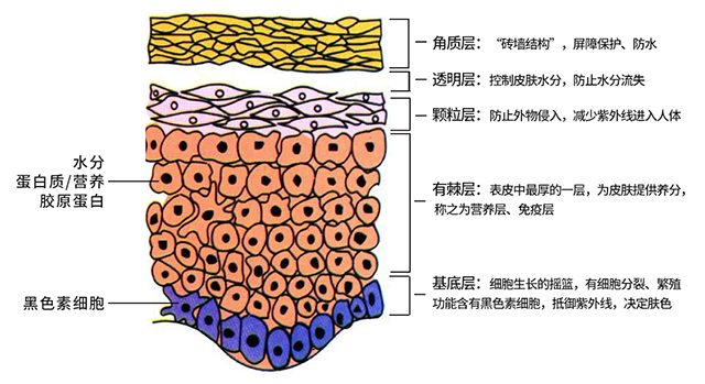 赢彩吧859cc(中国)官方网站