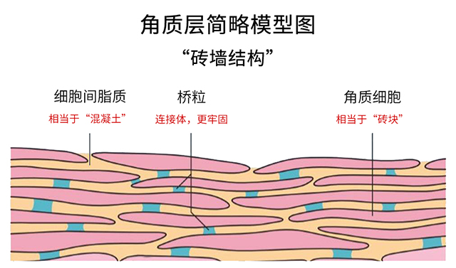 赢彩吧859cc(中国)官方网站