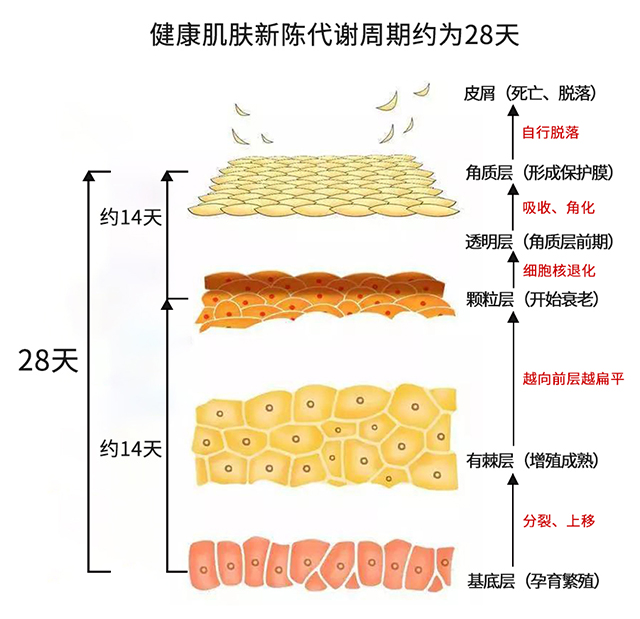 赢彩吧859cc(中国)官方网站