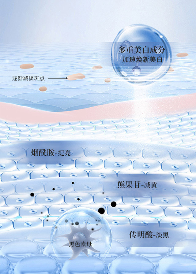 赢彩吧859cc(中国)官方网站